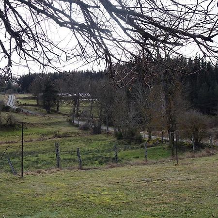La Crova Villa Félines Eksteriør bilde